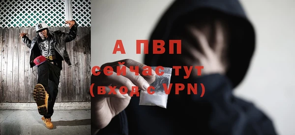 стаф Медвежьегорск