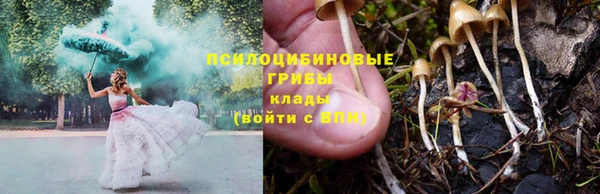 гидропоника Михайловка